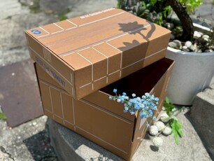 LINE_ALBUM_莫須有限_柔印白+藍B-2175U進_260521_10