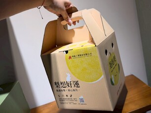 LINE_ALBUM_鴻績工業_水梨_插底手提_白卡31條+上消光油_251117_3