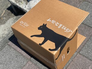 LINE_ALBUM_和樂貓砂_230713_2