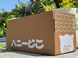 LINE_ALBUM_打翻蜂蜜_柔印白_260407_8