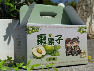 LINE_ALBUM_棗果子_插底手提盒_彩印霧膜_260407_5