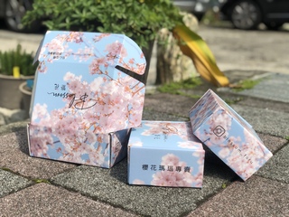 全彩印刷飛機盒